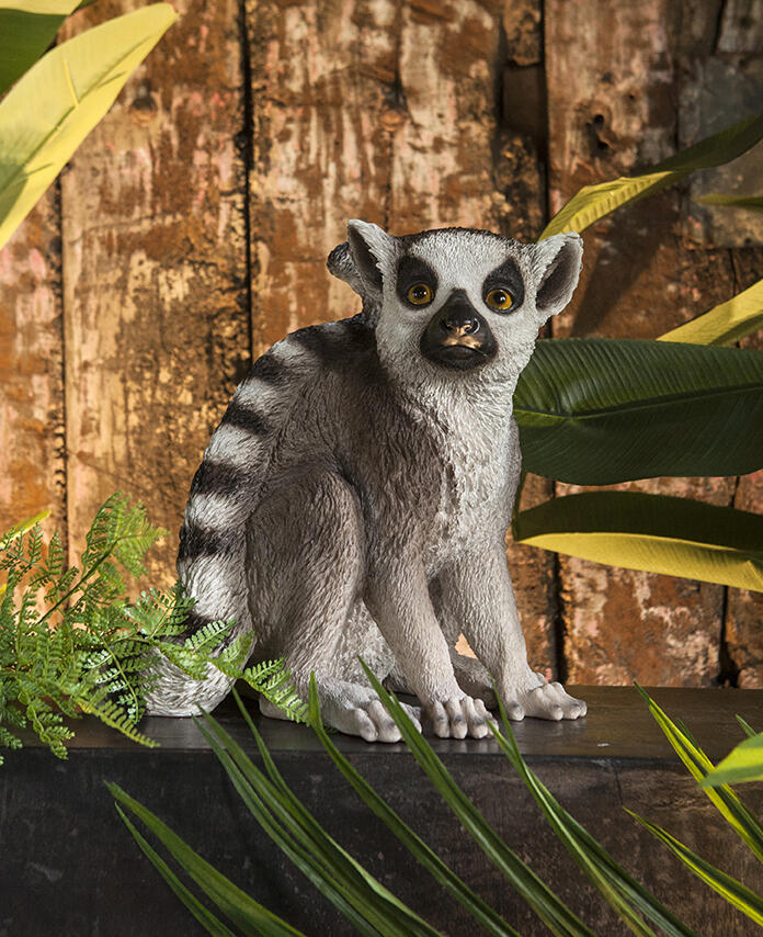 Decoratieve objecten Decoratieve objecten